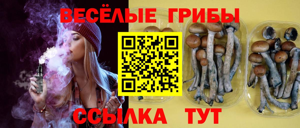Горячий Ключ  Галлюциногенные грибы MAGIC MUSHROOMS  Вход с VPN 