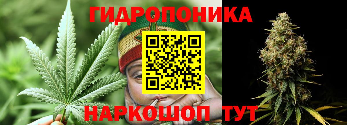 Канабис сатива Горячий Ключ